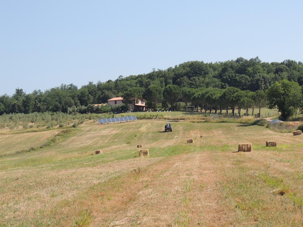 Agriturismo Podere Borgognano Massa Marittima Exterior photo