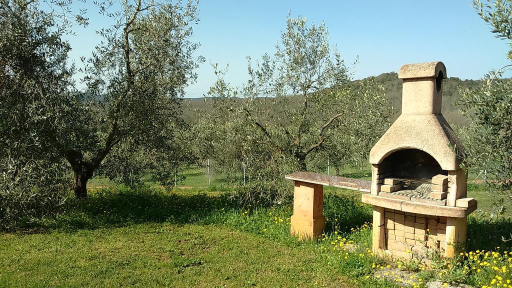 Agriturismo Podere Borgognano Massa Marittima Exterior photo