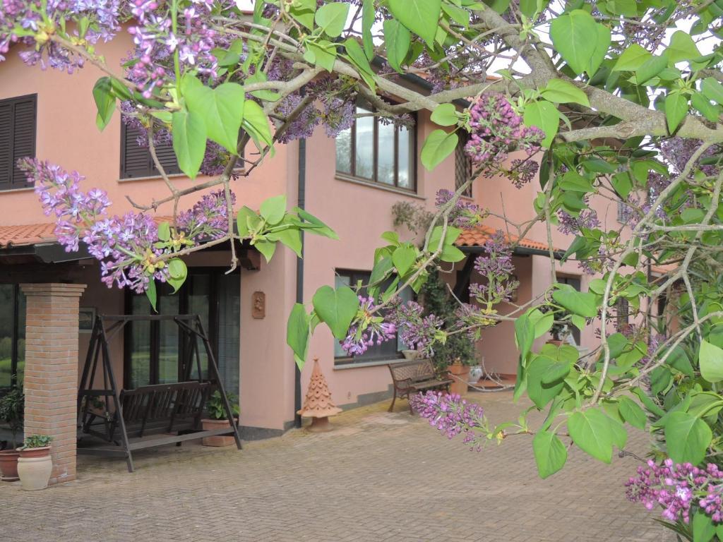 Agriturismo Podere Borgognano Massa Marittima Exterior photo